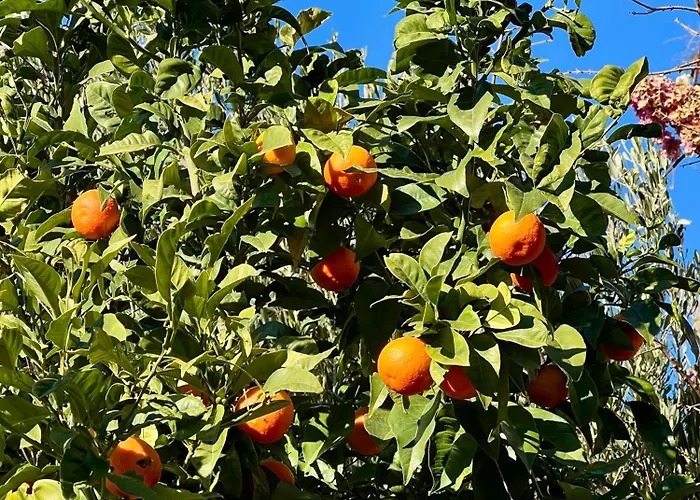 Sunfunapartment Croatia Appartement