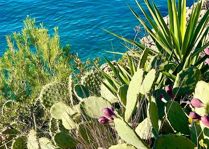 Appartement Sunfunapartment Croatia *